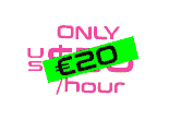 Only 20 EUR per hour